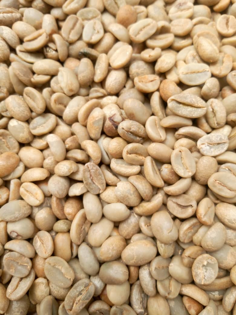 Premium Coffee Beans